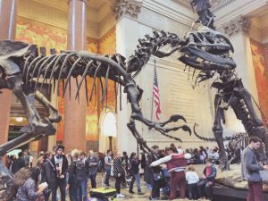 Museum of history and science NY 4 300x225 - New York- Zoznam 28 najúžasnejších miest v Big Apple