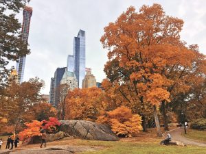 NY Central park3 Fotor5 300x225 - New York- Zoznam 28 najúžasnejších miest v Big Apple