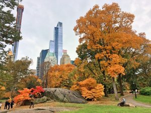 IMG 6479 300x225 - New York- List of the 28 most amazing places in Big Apple