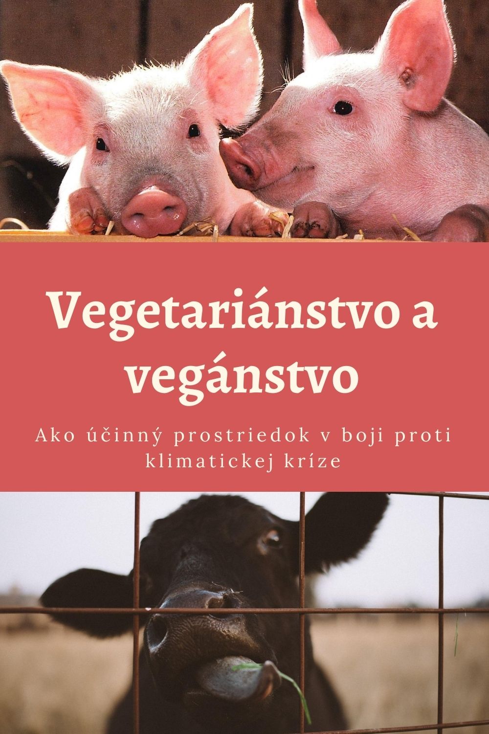 Vegetariánstvo a vegánstvo-cover
