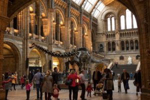 London naturalhistorymuseum 300x200 - 15 najlepších múzeí v Európe, ktoré sa určite oplatí navštíviť